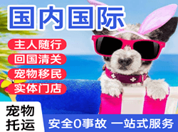 朝阳川航空快递国际宠物托运 【国